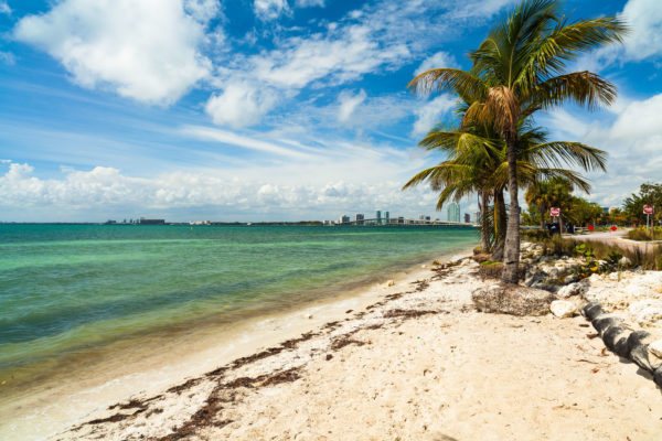 miami beach homes